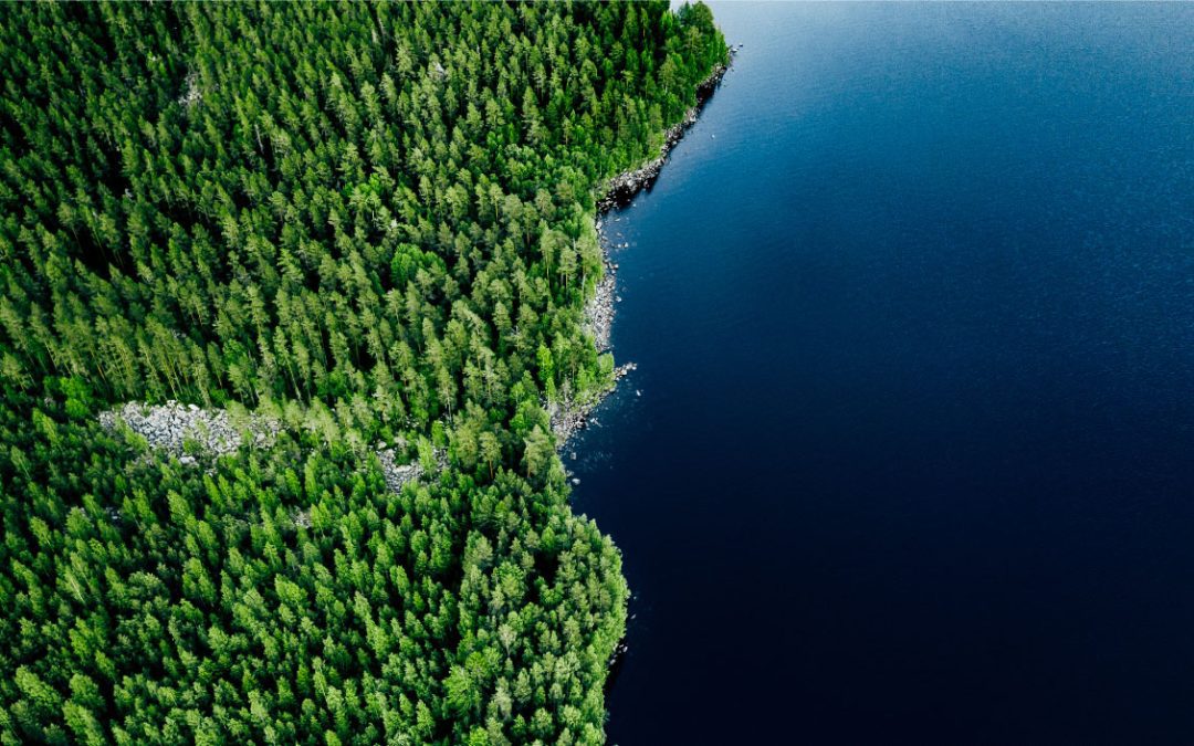 Blue Wolf Capital Partners complète l&rsquo;acquisition de LOGISTEC Corporation