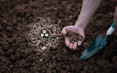 Risk Assessments: Prioritize Your Contaminated Sites and Reduce Environmental Liability—Faster